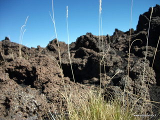 nte Pizzillo-21-10-2012 11-17-19